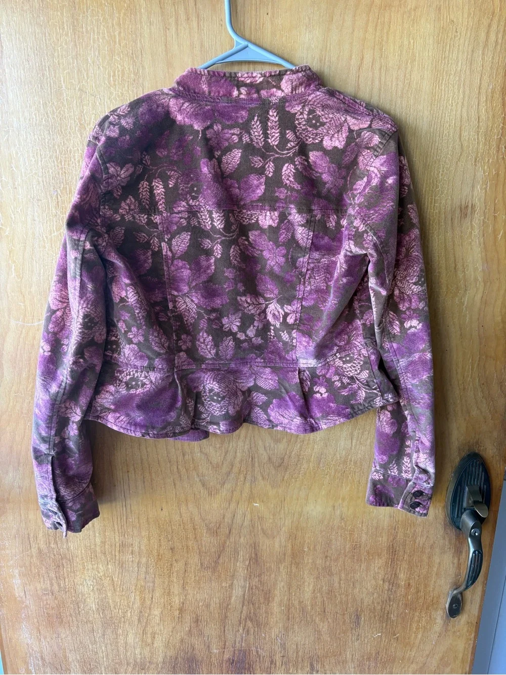 Free People Jocelyn Velvet Printed Jacket